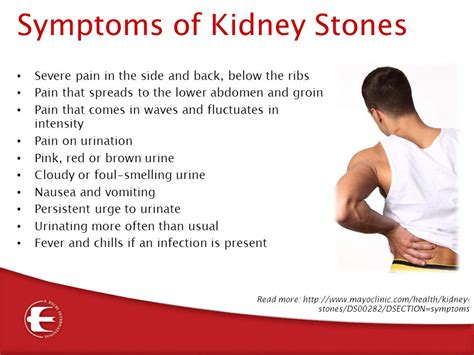 Have had a pulsating pain in left side of stomach had half my pancreas removed about 14 weeks ago and have recovered well this pain started around 6 o'clock this morning. What are the symptoms of kidney stones? | Timeslifestyle