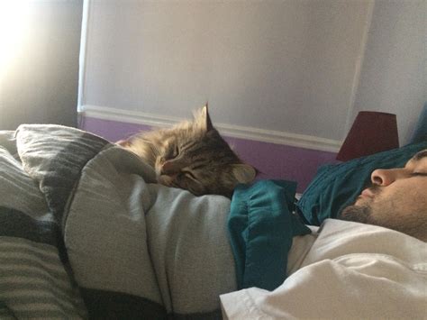 My Husband Is A Side Sleeper But Every Morning Our Cat Meows And Yells