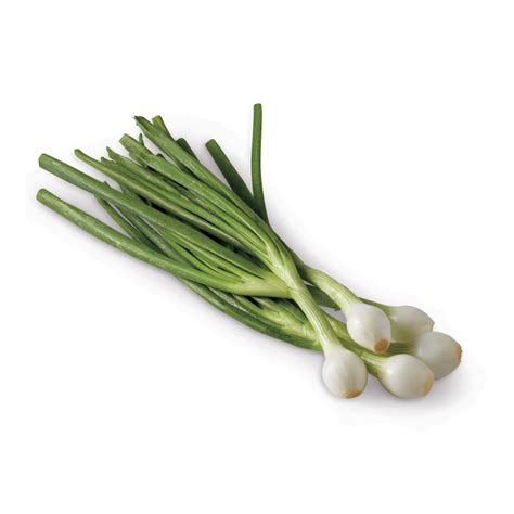 Fresh Bulb Onions Shop Onions And Garlic At H E B