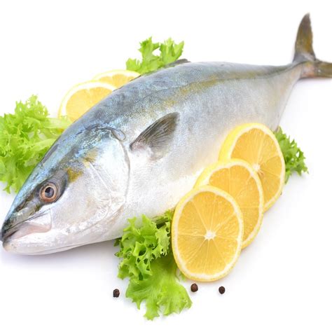 Yellowtail Kingfish Hamachi 34kg 38kg Before Prep Serves 8