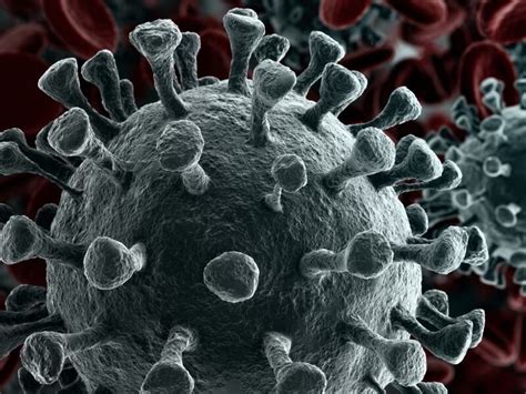 What you need to know. New variants mean COVID vaccines, tests may need tweaking: FDA