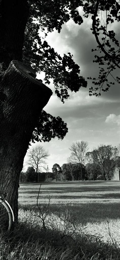 Black and White iPhone Wallpaper - 020