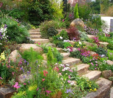 Drought Tolerant Plant Ideas For Your Homestead Rock Garden