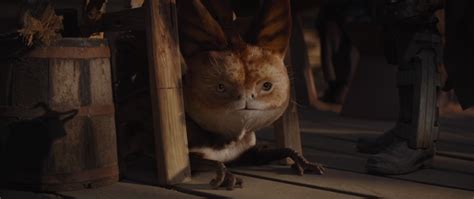 Loth Cat Star Wars Wiki Fandom