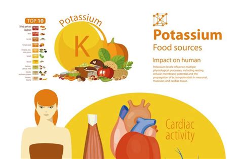 A Guide To Low Potassium Eating Habits Facty Health
