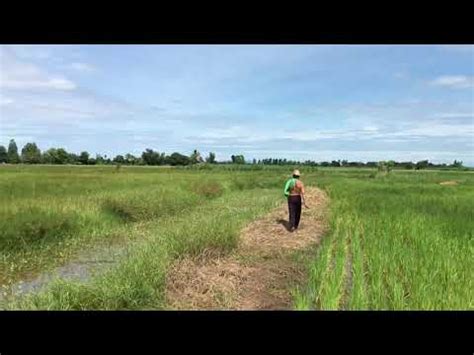 ไทม์ไลน์ม็อบคณะราษมือเผา #10สค สำหรับผู้ที่ไม่มีเวลาติดตามข่าว ม็อบเด็กเหลือขอก่อความวุ่นวายซ้ำเติมวิกฤติประเทศ #ม็อบ10สค #ม็อบก่อความวุ่นวาย 10-13สค63 - YouTube