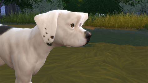 Mod The Sims Sims 4 Cat And Dogs Glitch Deformed Pets