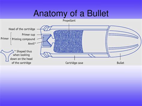 Anatomy Of A Bullet Casing