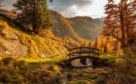 Bridge In Autumn Forest Wallpaper And Background Image 1680x1050 Id