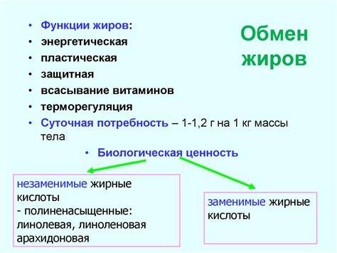 Как восстановить обмен веществ в организме человека и похудеть подростку