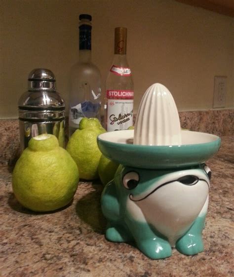 A Ceramic Frog Fruit Juicer Ceramic Frogs Fruit Juicer Ceramics