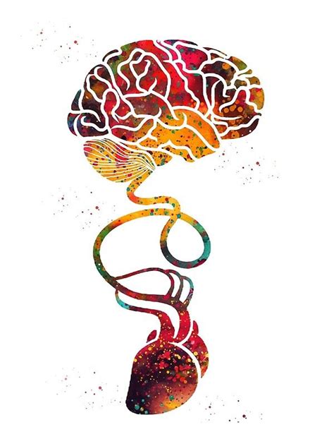 cerebro y corazón acuarela arte médico ciencia millones de diseños originales hechos por