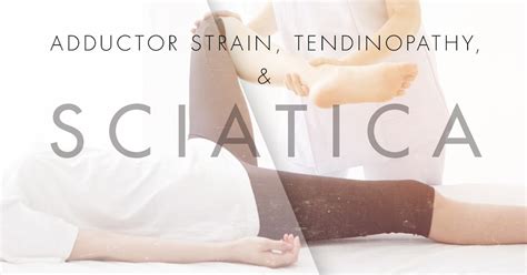 Adductor Strain Tendinopathy And Sciatica