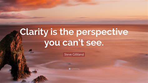 Steve Gilliland Quote “clarity Is The Perspective You Cant See”