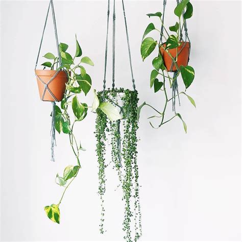 Artificial Hanging Baskets Artificial Plants Large Plants Cool