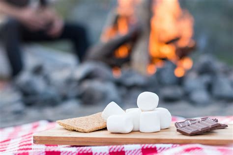 The Science Behind Roasting Marshmallows Over A Campfire Acevolt