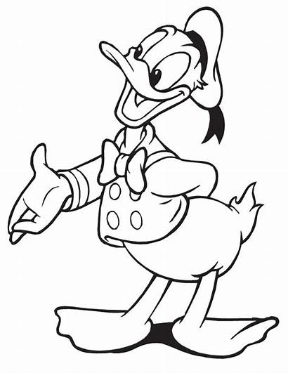 Duck Donald Coloring Pages Sketch Disney Colouring