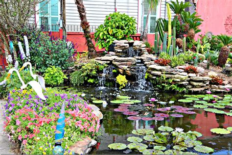 Aquatic Gardens 621 Elysian Fields Easy Walk To A World Of Color