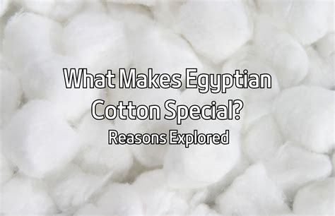 What Makes Egyptian Cotton Special Reasons Explored Display Cloths