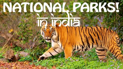 भारत के मुख्य राष्ट्रीय उद्यान नेशनल पार्क National Parks In India
