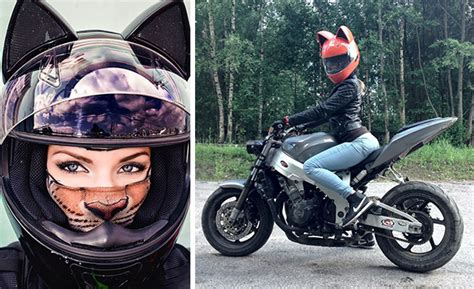 A wide variety of cat helmets options are available to you Cat Helmets From Russia Keep You Cute And Secure