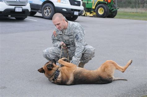 Dogs On Duty Military Working Dogs Offer One Of A Kind Partnership