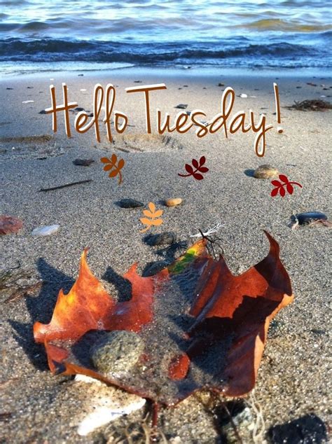 Happy Tuesday Coastal Lovers ~ Happy Tuesday Images Happy Tuesday