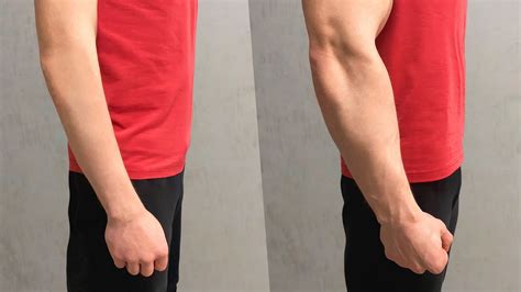 Make Bigger Forearms In 30 DAYS Home Workout YouTube