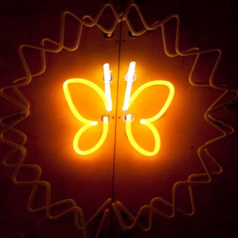 Butterfly Neon Signs Neon Colours