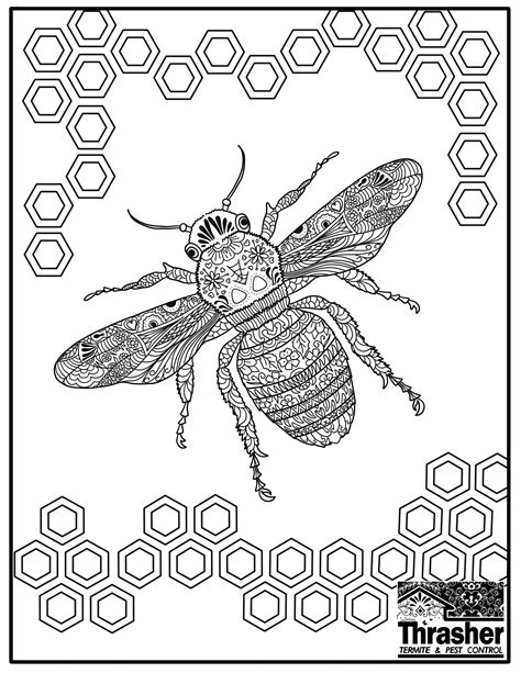 Bee Coloring Page Thrasher Termite And Pest Control