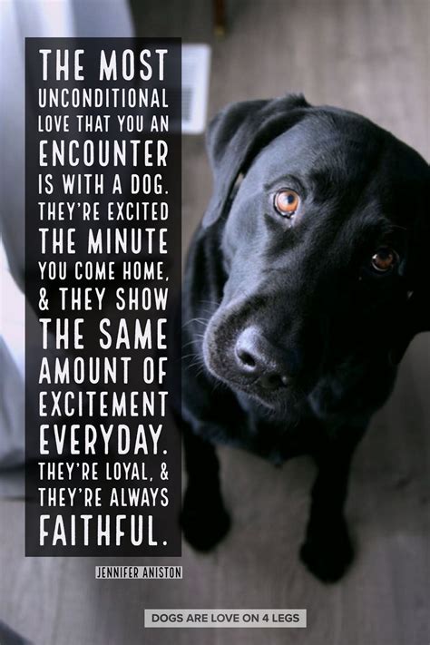 Dog Quote - The most unconditional love that you can encounter is with