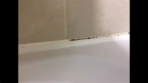 How To Remove Mold Mould From Silicone Sealant In Bathroom Shower Youtube