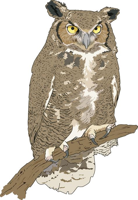 Eagle owl clipart - Clipground