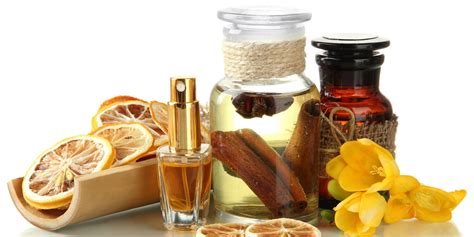 Twenty Of The Most Common Ingredients Used In Perfume Scentbox Blog