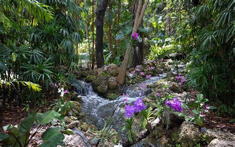 Fairchild Tropical Botanic Garden Grande Miami E Miami Beach