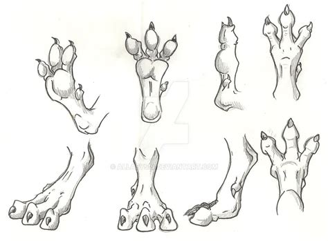 Dragon Feet Studies Hind Foot By Allaeysis On Deviantart