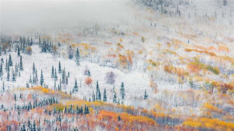 Fairbanks Snow Bing Wallpaper Download