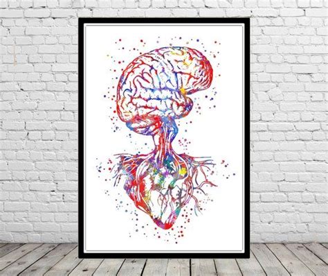Brain Anatomy Heart Brain And Heart Heart Anatomy Medical Art