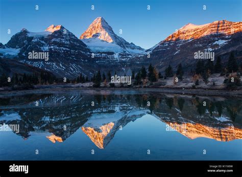 Mount Assiniboine Reflected In Lage Magog In Early Morning Mount