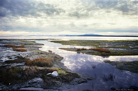 Low Tide Cook Inlet Anchorage Alaska Usa Minolta X 700 Wi Flickr