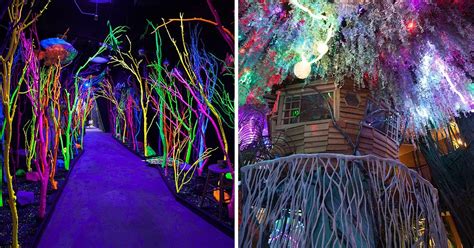 Meow Wolf Santa Fe All You Need To Know Before You Go