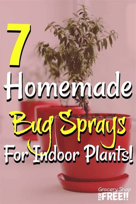 These 7 Homemade Bug Sprays For Indoor Plants Should Cover Pretty Much