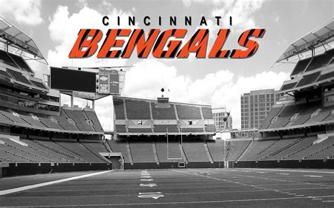 Cincinnati Bengals Wallpaper Themepack