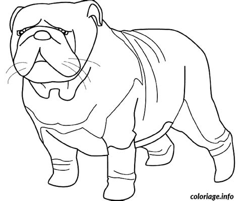 Coloriage Dessin Chien Bulldog