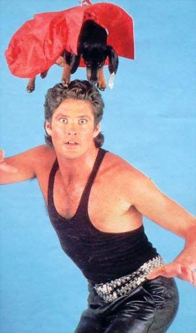 18 085 tykkäystä · 43 puhuu tästä. 24 best images about Knight Rider: David Hasselhoff on ...