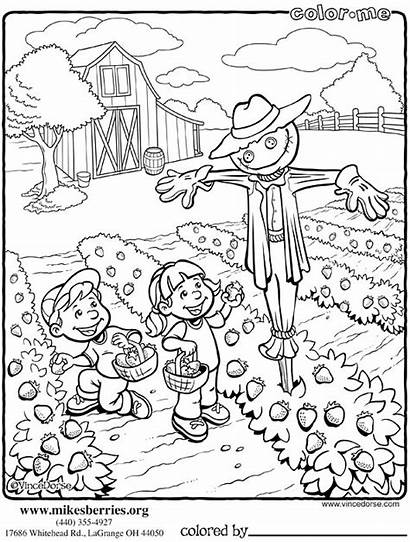 Coloring Pages Farm Garden Vegetable Scarecrows Berries