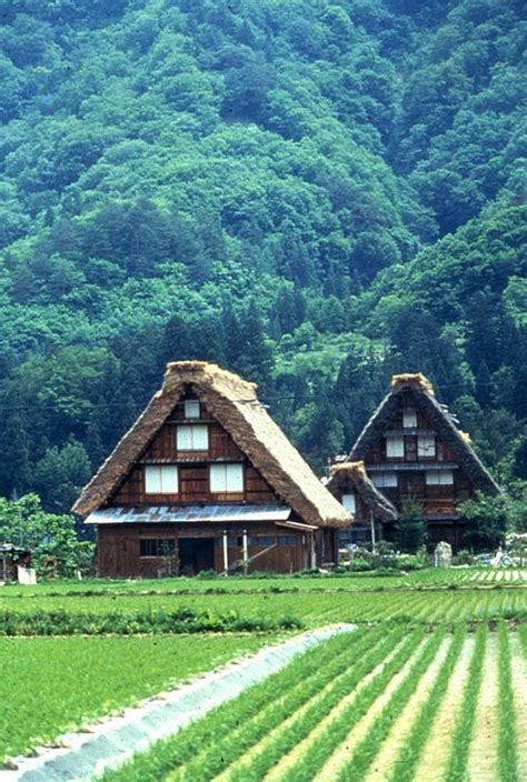 Shirakawa Go Historic Village U Prefecture Japan Photo Japanese