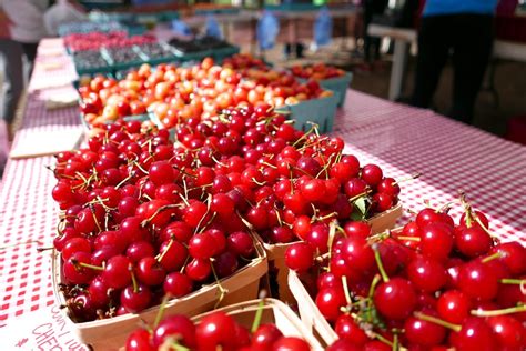 Usda Buys Cherries From Michigan Farmers To Help Communities Wgvu News