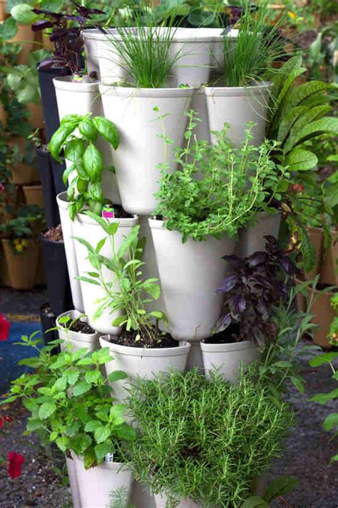 Get An Indoor Vertical Herb Garden To Maximize Space Corner Of My Home