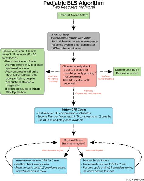 Pals Algorithm Cheat Sheet How To Pass The Pediatric Advanced Life